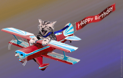 Little animated kitten flying a plane pulling a banner that says Happy Birthday